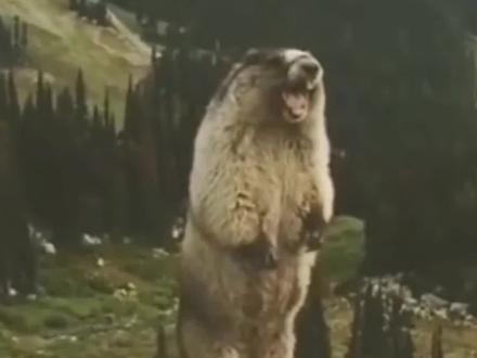 网络人物志第五期 爱吃蛋 煮蛋仙人#人物志#蛋#蛋神