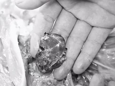 鸭子身上有4个部位毒素最多,专家建议要少吃,很多人都不知道 #鸭子 #毒素 #专家 #鸭头 #科普