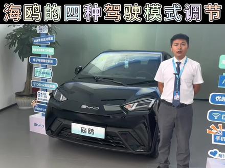 海鸥的四种驾驶模式调节你都知道吗?#豹启新篇领航未来 #比亚迪海鸥 #每天一个用车知识