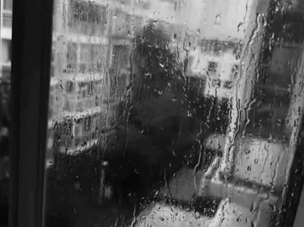 活太久了,吃点刀子吧!#囚于永夜 #339#不刀#依旧迟述nb