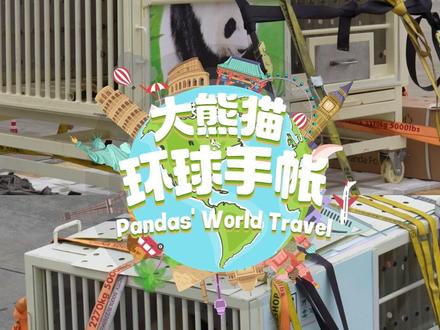 新一对旅马大熊猫的名字有多美? 2025年11月18日,@中国大熊猫保护研究中心 的一对大熊猫“辰星”“晓月”,搭乘专机从成都出发前往马来西亚,开启中马新一轮大熊猫保护国际合作。点进本期《大熊猫环球手帐》,认识一下这两只可爱的熊宝吧!愿它们在悉心照料与满满关爱中度过平安快乐的时光~#大熊猫#旅马大熊猫