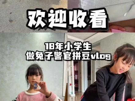 疯狂动物城居民报道!#vlog日常记录生活 #拼豆 #兔子警官 #疯狂动物城 #手工diy