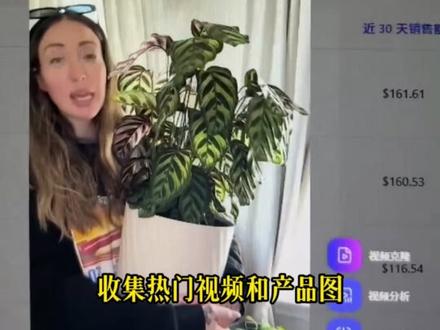 TK AI带货流程分享 #跨境电商 #AI带货 #AI #TK #veo