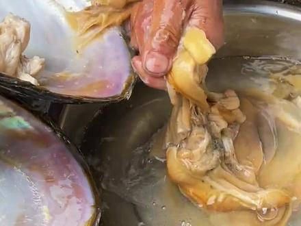 为什么曾经的顶级河鲜河蚌现在送都没有要了? #科普知识 #河蚌 #蚌壳 #河鲜 #地方特色美食