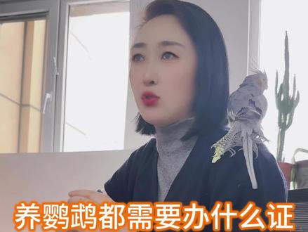 #鹦鹉养殖场#小太阳#养鹦鹉需不需要办证