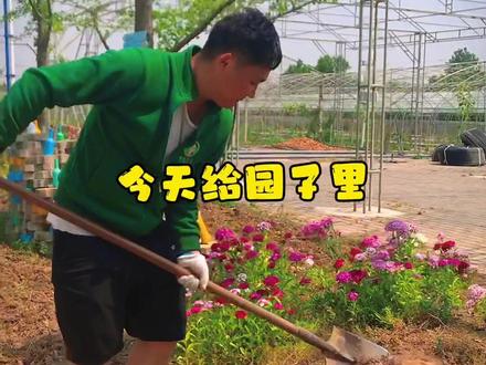 #创作灵感 #新农人计划 #美丽乡村
种一片花海,等待你的到来!