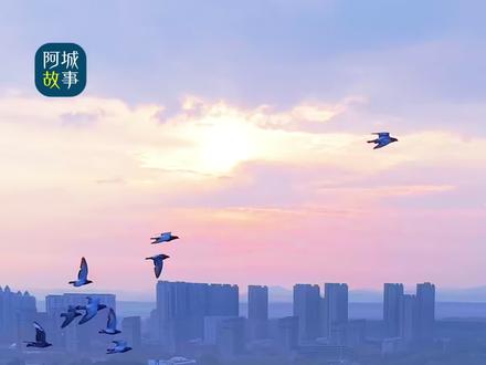 一位60后摄影爱好者,掏心窝子聊一聊东北超赛事自己的感受#哈尔滨阿城#东北超#记录家乡@智能小叮当们@往事老板娘@阿城文旅