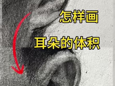 修改,深入刻画耳朵
#零基础学画画 #耳朵#深入#观察#过程