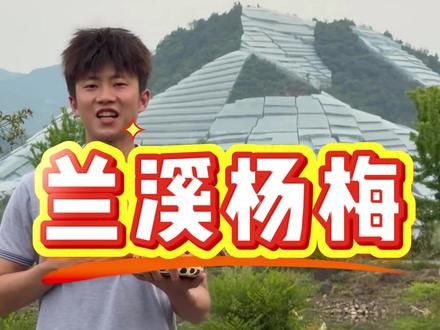 我的家乡我宣传#兰溪杨梅#杨梅#三农#我的家乡我宣传 #为家乡农产品代言