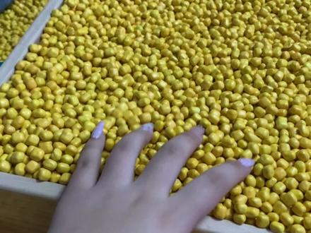 不要摸不要摸!#霉豆腐 #纯手工打造 #霉豆腐制作 #抽象 #热门