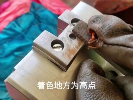 轴瓦研磨技巧#轴瓦 #化工设备 #化工 #水泵 #管工