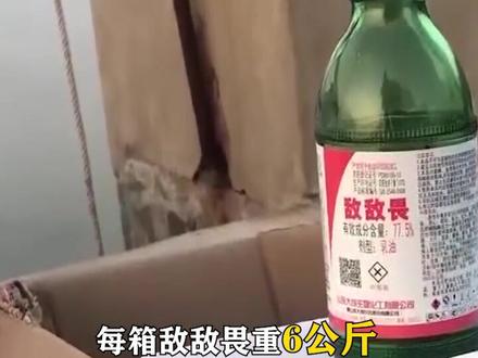 海参水“深”! 山东即墨#养海参整箱放敌敌畏 你敢吃么?