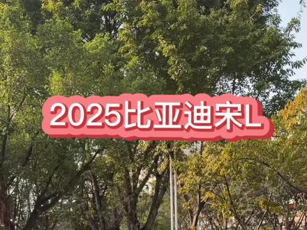 带智驾宋Lev 激光雷达四驱版,602续航纯电,一年亏了10万#贺州精品二手车 #比亚迪