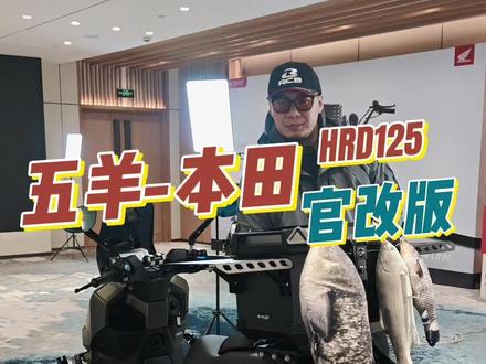 这车叫什么更好记? #五羊本田hrd125 #代步踏板 #露营车改装