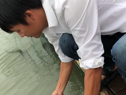 阳澄湖大闸蟹是这样捕捞的
