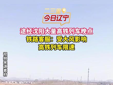 途经沈阳大量高铁列车晚点
铁路客服:受大风影响
高铁列车限速