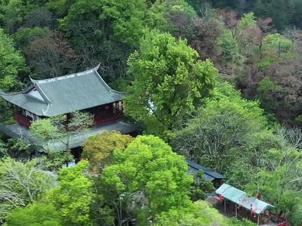 武夷山本地人出的攻略来啦~两天一夜游武夷 #武夷香江茗苑 #武夷山攻略 #武夷山旅游 #攻略 #福建旅游景点推荐