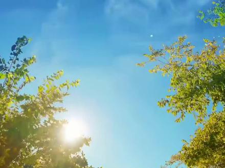 邱振哲的《太阳》每个人心里都有一个太阳照亮着自己也照亮了别人#自制mv #音乐治愈 #音乐mv