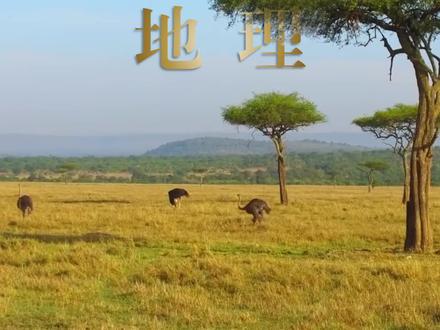 欢迎来到辛巴的故乡~ 两分钟掌握热带草原气候知识点! #家长收藏孩子受益 #初中地理知识点 #高中地理老师
