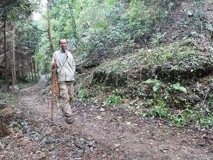 猴哥扛不住退赛了