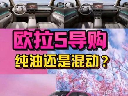 欧拉5导购:纯油和混动解读,来看哪个更适合你!#欧拉5 #长城欧拉5