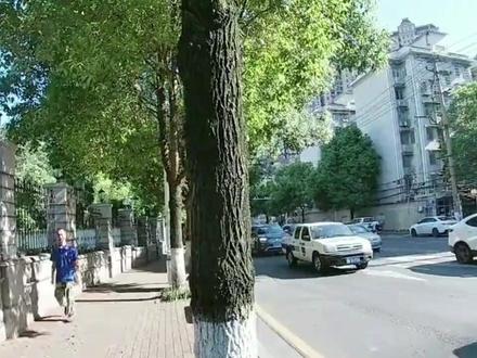 特大喜讯!2026烟草应届生身份放宽!哪怕毕业三年也能报考烟草了,年薪20W+的金饭碗真的香! #烟草 #应届生 #备考 #经验分享 #国企