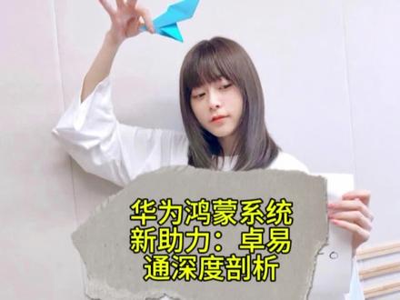 华为鸿蒙系统新助力:卓易通深度剖析