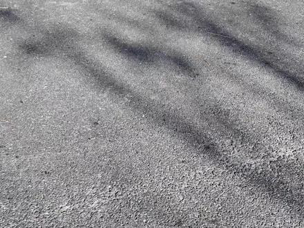 【大熊超详细试车】名爵MG4,一个视频带你了解外观内饰空间 #名爵MG4 #上汽名爵 #纯电小车 #mg4ev #汽车