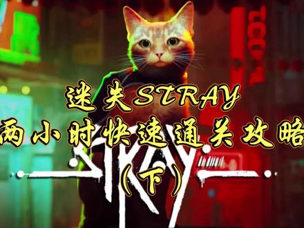 迷失的忍者通关攻略-抖音