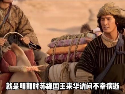 回族人祖先到底是谁?回族人是阿拉伯人的后裔吗?答案来了!#军事科普 #军事科技 #军事爱好者 #军事迷 #近代史