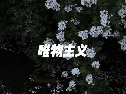 我这一生都是坚定的唯物主义者, 唯有你,我希望有来生。#哲学 #唯物主义