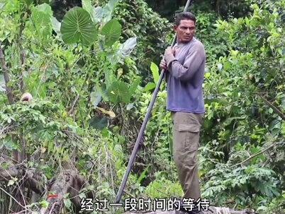 100多斤的远古巨骨蛇鱼你在见过吗?#渔民日常 #鱼获满满 #我要上热门