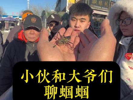 小伙聊蝈蝈 纯享版#摆摊 #蝈蝈
