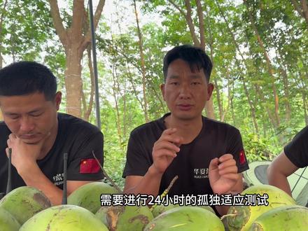 开赛规则讲解#荒野求生 #荒野独居 #真实户外