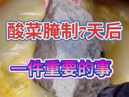 腌酸菜,不烂不臭的秘密