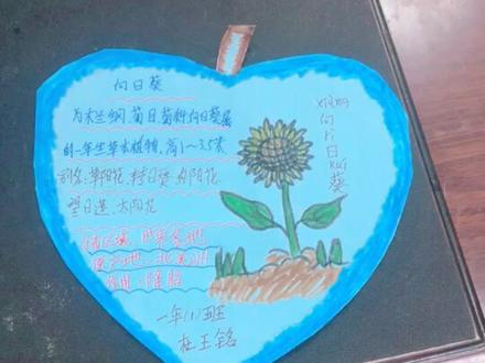 植物名片,可爱的你们做得如此可爱!