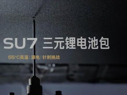 如何?老米们!我们命苦啊!我要变成米黑了😨#小米su7 #新一代su7
