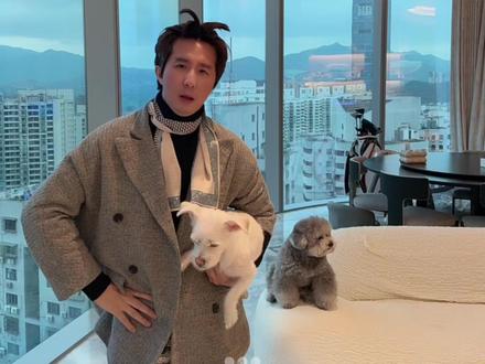 脑子里的水,最后终于排出来了! #豆包 #狗狗日常 #被迫营业的小狗 #热点小助手