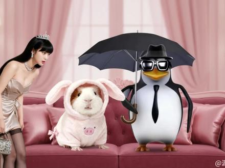 高雅人士来猪妞家玩#猪妞 #高雅人士 #AI创作浪潮计划