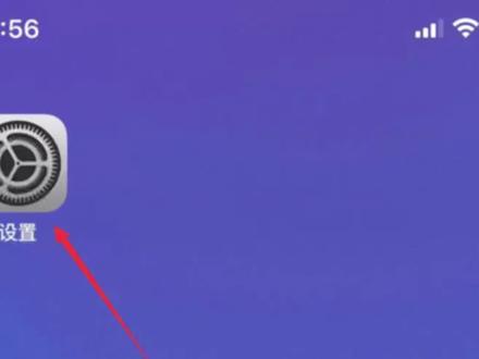 #手机知识分享 苹果由于访问限制无法退出登录