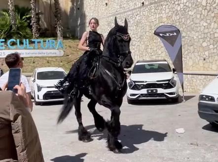 这些马贵吗?我朋友买得起吗#马#汗血宝马 #夏尔马 #弗里斯兰马 #科普