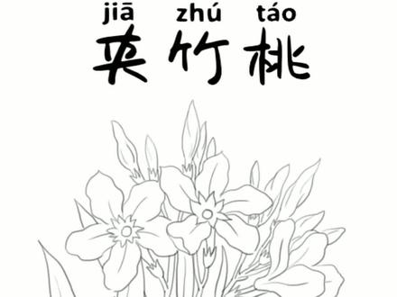 环保小能手夹竹桃画起来,这货有毒哦不要乱摸! #画画 #手绘 #花卉绿植 #教程 @抖音小助手
