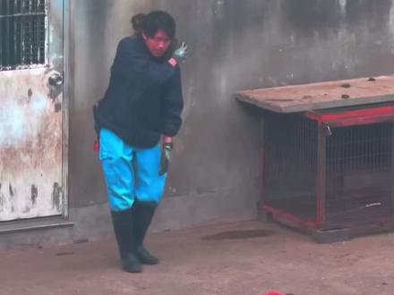 panchi君从被孤立到现在慢慢融入大家庭🥰🥰#动物世界