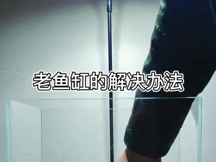 老旧鱼缸该水陆缸,看到最后你家老旧缸将不再孤独... @DOU+小助手