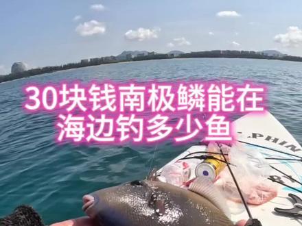 整片海都是奇奇怪怪的鱼#钓鱼 #钓鱼人 #海钓