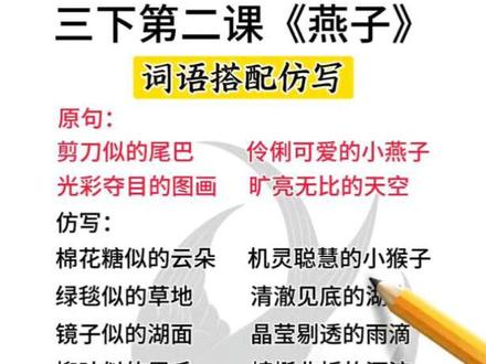 三年级下册语文第二课《燕子》课后习题词语仿写#每天跟我涨知识 #词语搭配 #词语积累 #小学语文