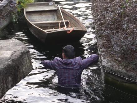 人到中年,最大的从容是什么? #庭院生活 #庭院 #机车 #东哥的小院 #锦鲤鱼池