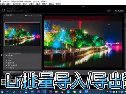 LR 批量 导入/导出 预设@DOU+小助手 @抖音小助手 #不要限流 😭