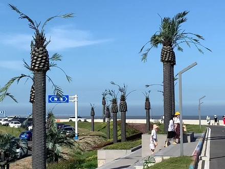 这里超有水上之都威尼斯的韵味#十里海湾 #苏小拾 #带你去看海 #亲子游玩好去处