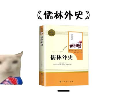 儒林外史(一) #猫meme #名著阅读